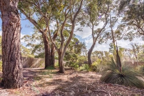 Bush Hideaway by the beach1