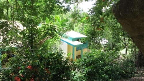 Magnetic Reef Apartments Unit 30