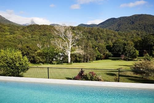 A view of Mount Warning4