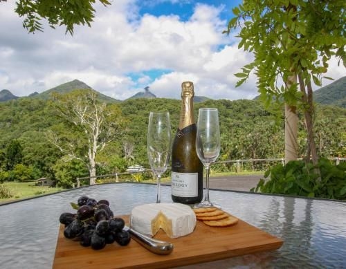 A view of Mount Warning3