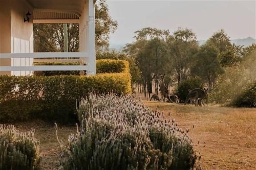 Corunna Station Country House4