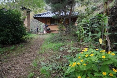 Tea Field Guest House4