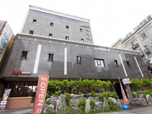 Hotel Pavia0
