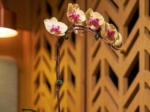 Oasia Hotel Downtown, Singapore by Far East Hospitality (SG Clean)4