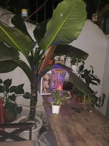 My Dream hostel2