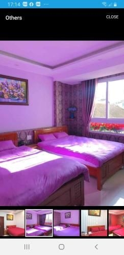 My Dream hostel1