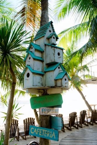 Coco Beachcamp La Gi3