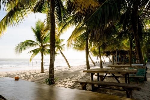 Coco Beachcamp La Gi2