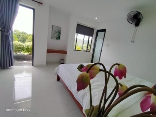 Samba Hue Hostel0