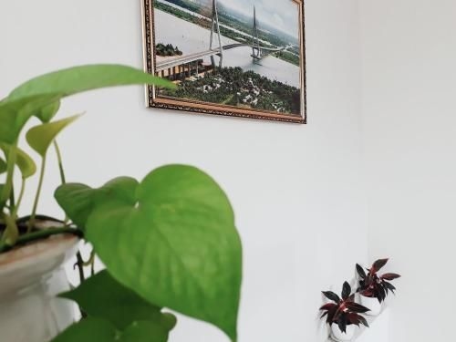 Nhà nghỉ 126 (Nha nghi 126)4