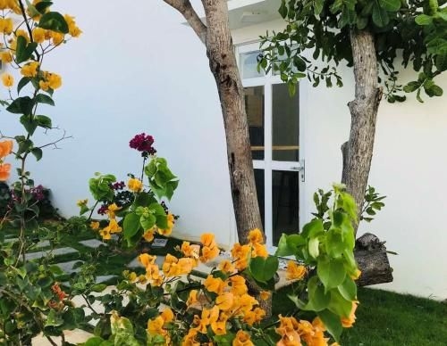 Casa Vi Mia4