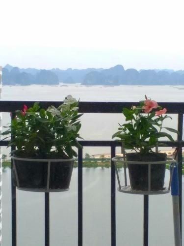 Ha Long Bay View Studio3