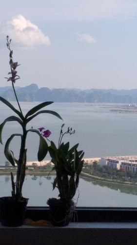 Ha Long Bay View Studio2