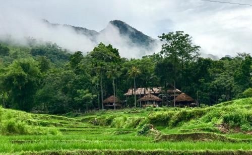 Lua Pu Luong0