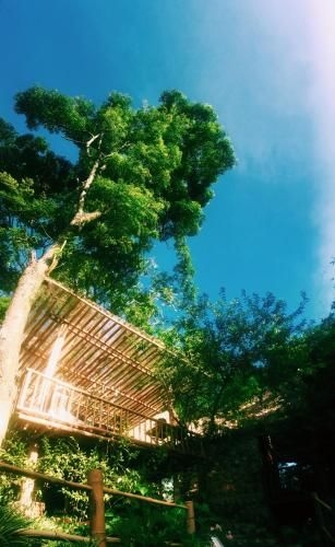 Moc Chau Retreat4