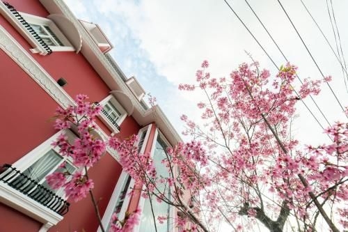 Đà Lạt 33 Villa (Da Lat 33 Villa)0