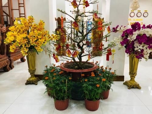 HOTEL ĐĂNG KHOA 1 NÚI SAM (HOTEL DANG KHOA 1 NUI SAM)2