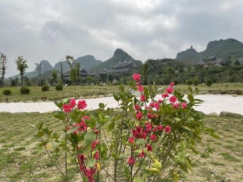 Tam Chuc Complex1