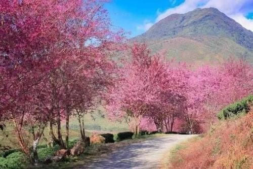 Laochai mountian view4