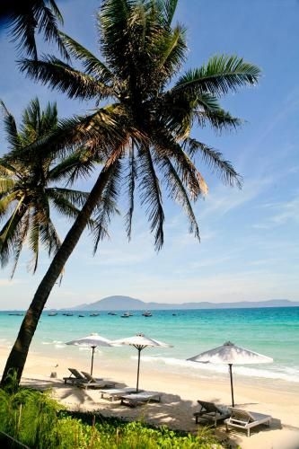 TTC Resort - Doc Let3