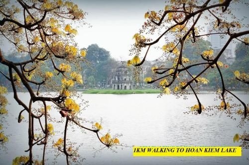 Hanoi Crocus Homestay4