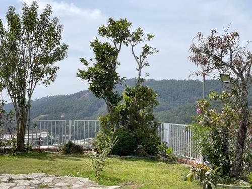Dalat Topview Homestay0