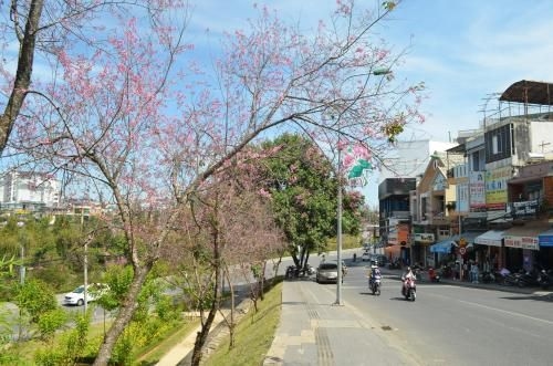 T&K Guesthouse3