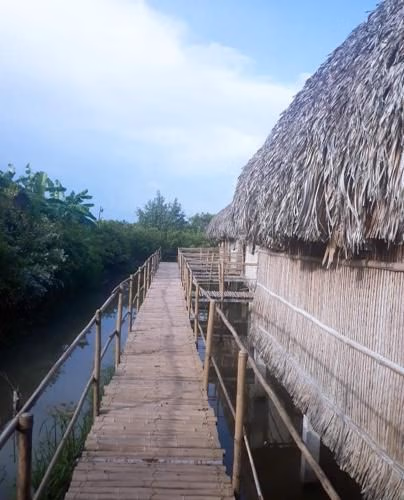 Dan Sinh Homestay0