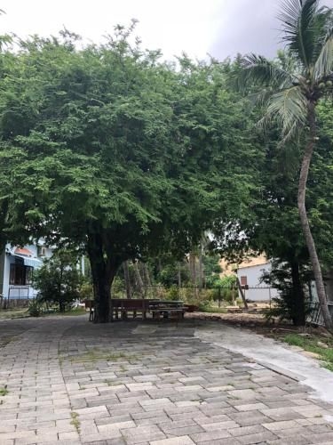 Bí Homestay (Bi Homestay)4