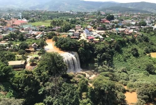Midori Coffee Farm2