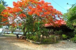 Nitivos Beach Resort2