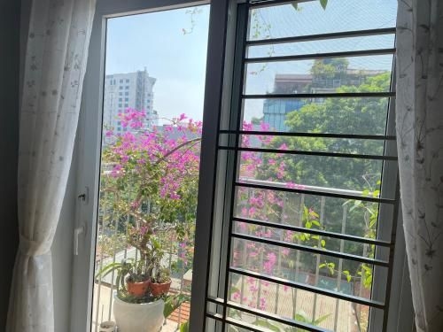 May Residence3