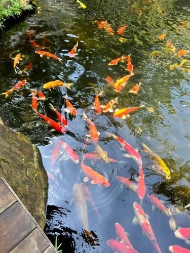Ngoc Kha Tu 2 Hotel4
