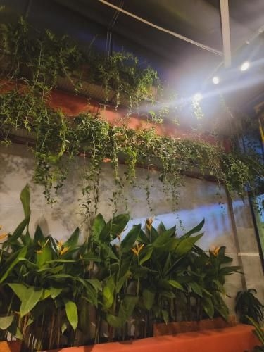 Mi-li-gam Coffee Home4