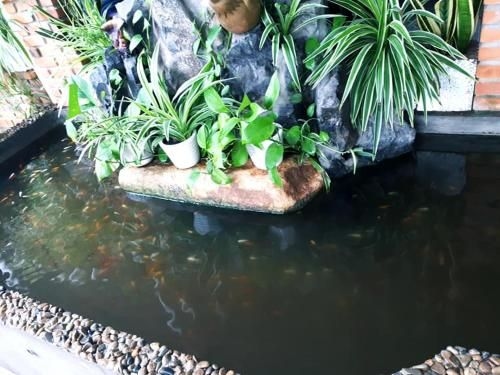 Binh Yen3