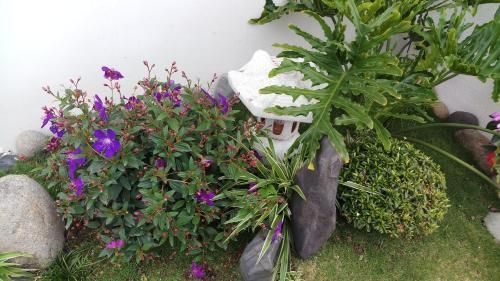 SAKURA HOMESTAY3