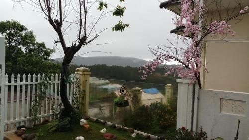 SAKURA HOMESTAY1