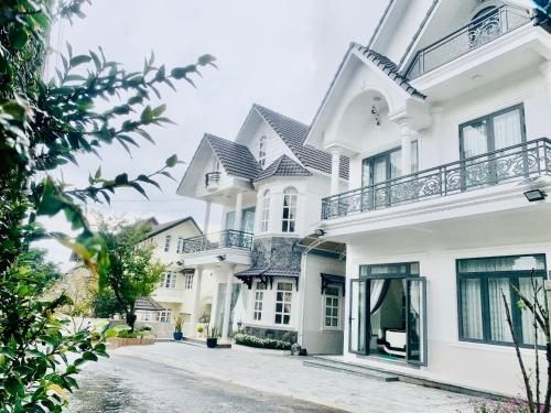 Trần Đại Nghĩa (Tran Dai Nghia)0