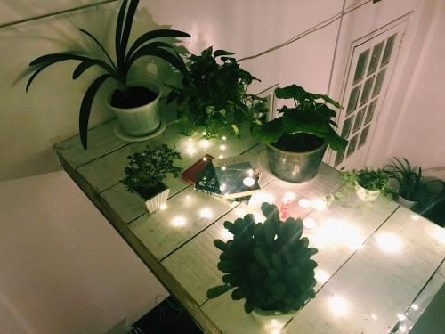 The Balcony BnB4