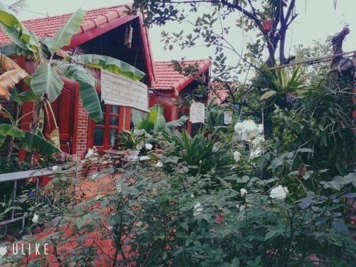 แทม ก๊อก ไรซ์ ฟิลด์ส โฮมสเตย์ (Tam Coc Rice Fields Homestay)4