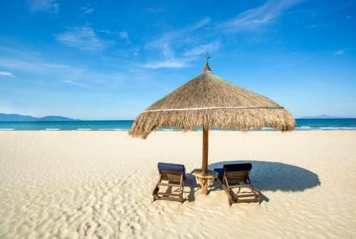 Summer Beach1