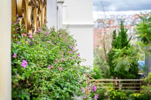 โรงแรมเนเจอร์ (Nature Hotel)4