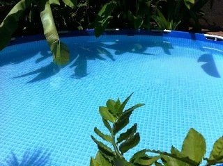 Casa del Mango EcoLodge By Emblema Hotels0