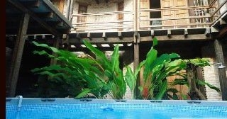 Casa del Mango EcoLodge By Emblema Hotels4