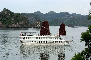 Ginger Cruise2