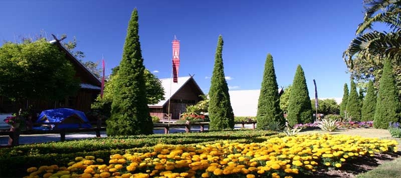ไร่จุฑามาศรีสอร์ท (Juthamas Resort Chiangklang)4
