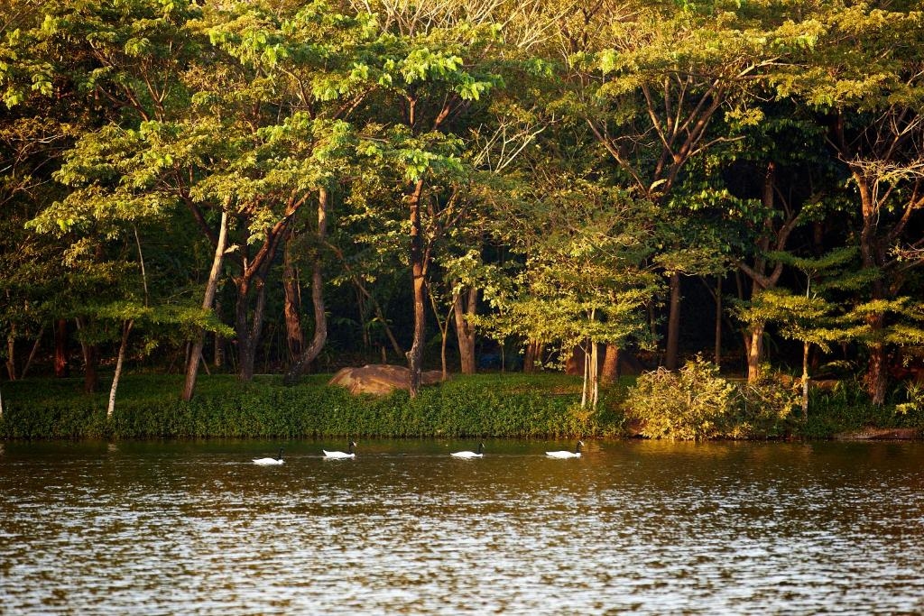 InterContinental Khao Yai Resort4