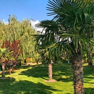 Best Western Sevan Parc Hotel1