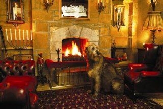 Cabra Castle Hotel3
