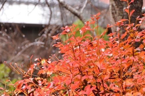 Nakaizu Shoheiso (Shoheiso)3